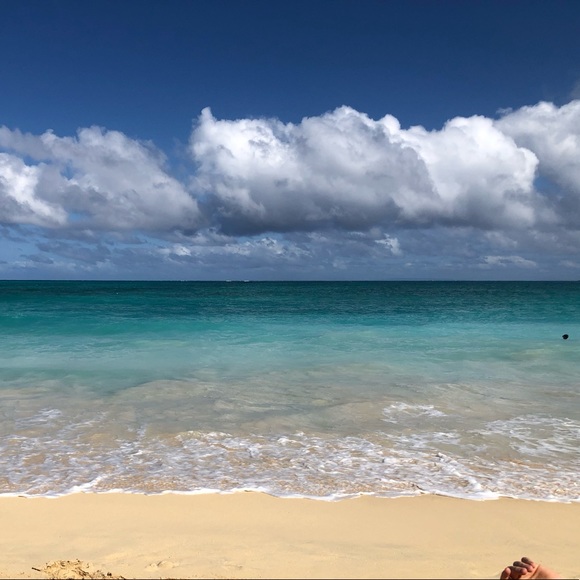 Meet your Posher, Elizabeth - Picture 3 of 7